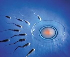 什么是子宫内膜a10？能做试管婴儿吗？