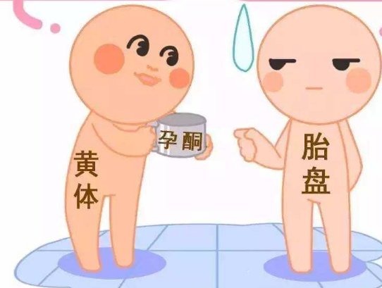 哪里能做糖尿病试管婴儿，哪里能做糖尿病试管婴儿呢